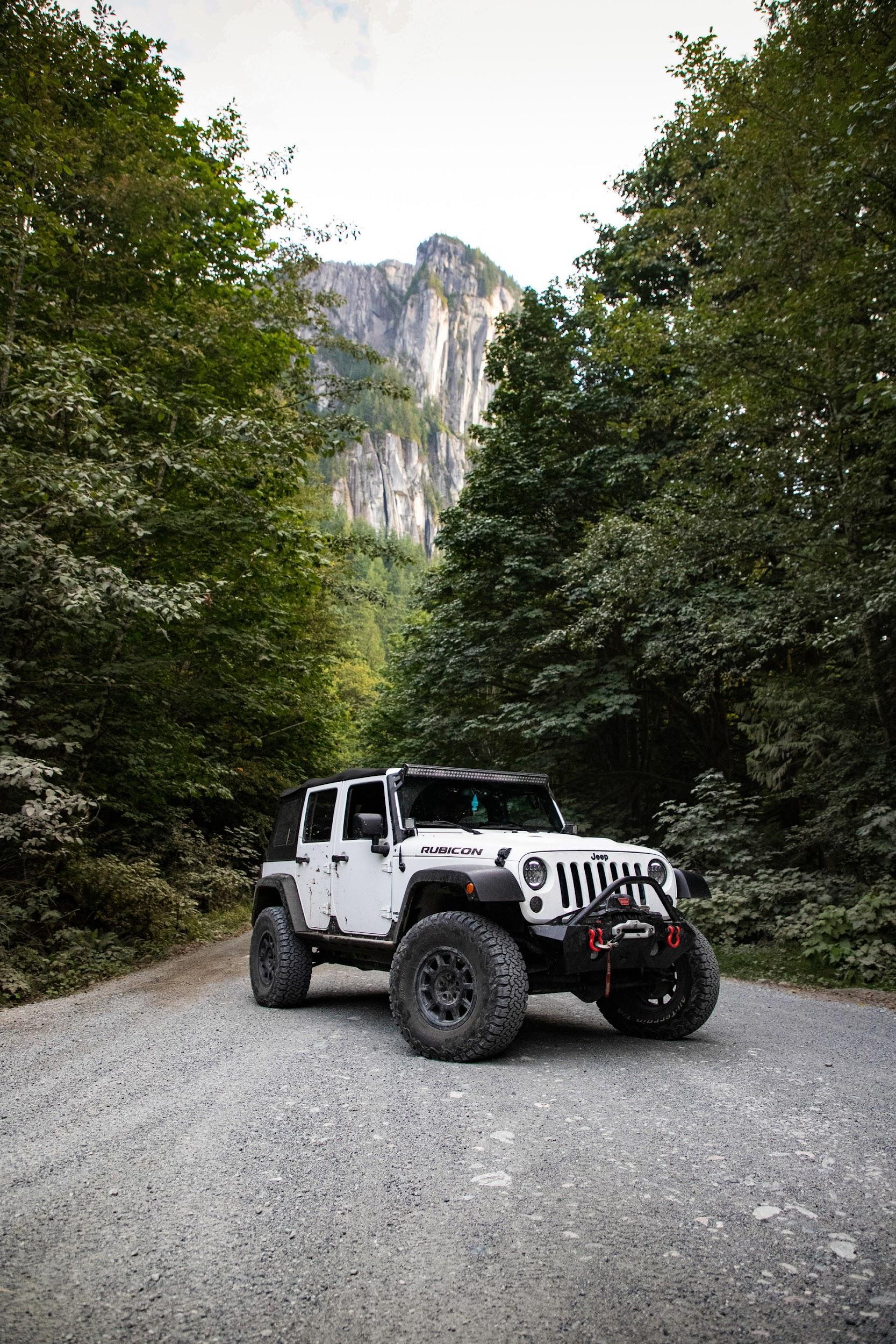 Jeep in wilderness
